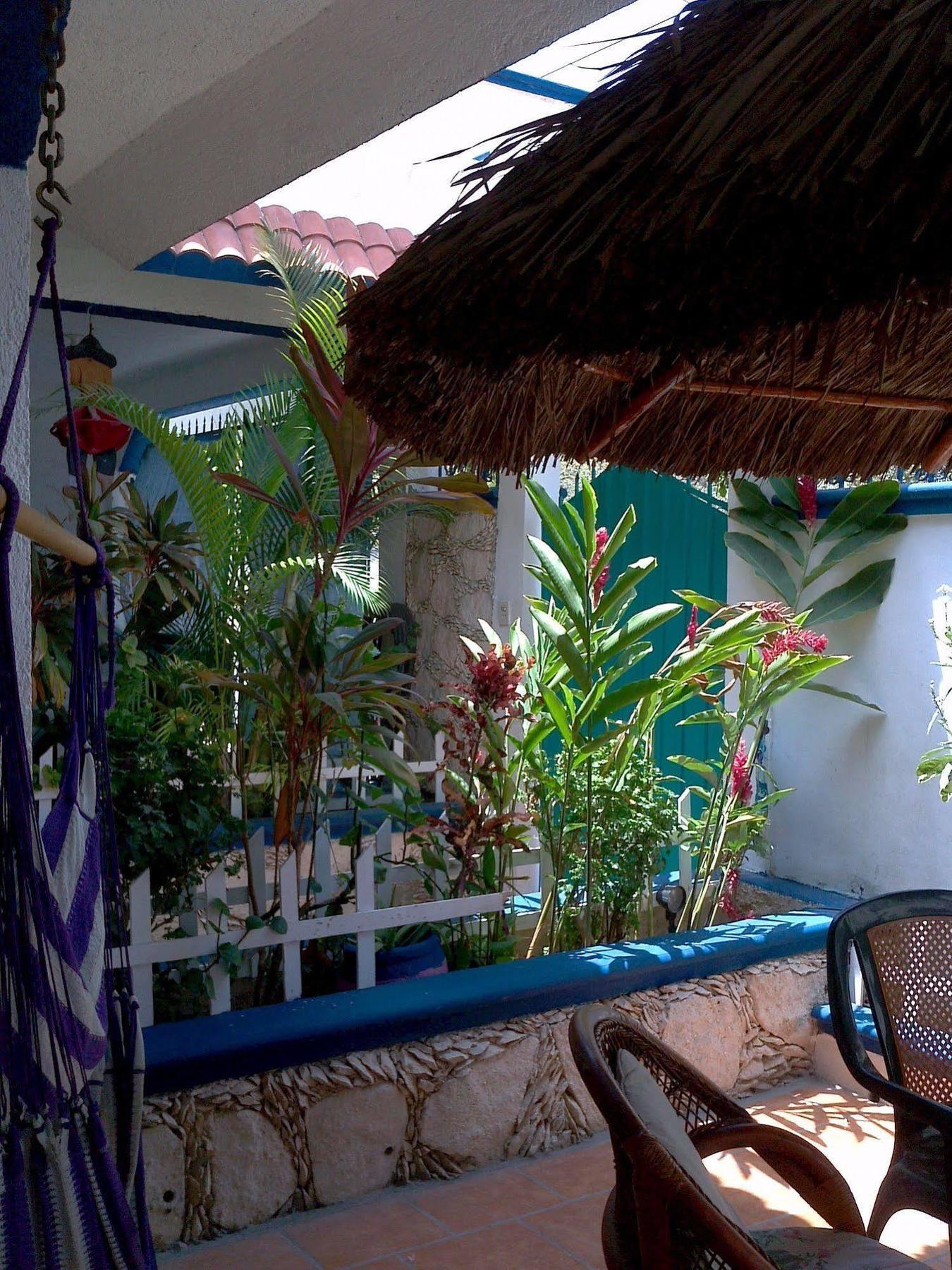 Alicia'S Bed & Breakfast Cozumel Kültér fotó