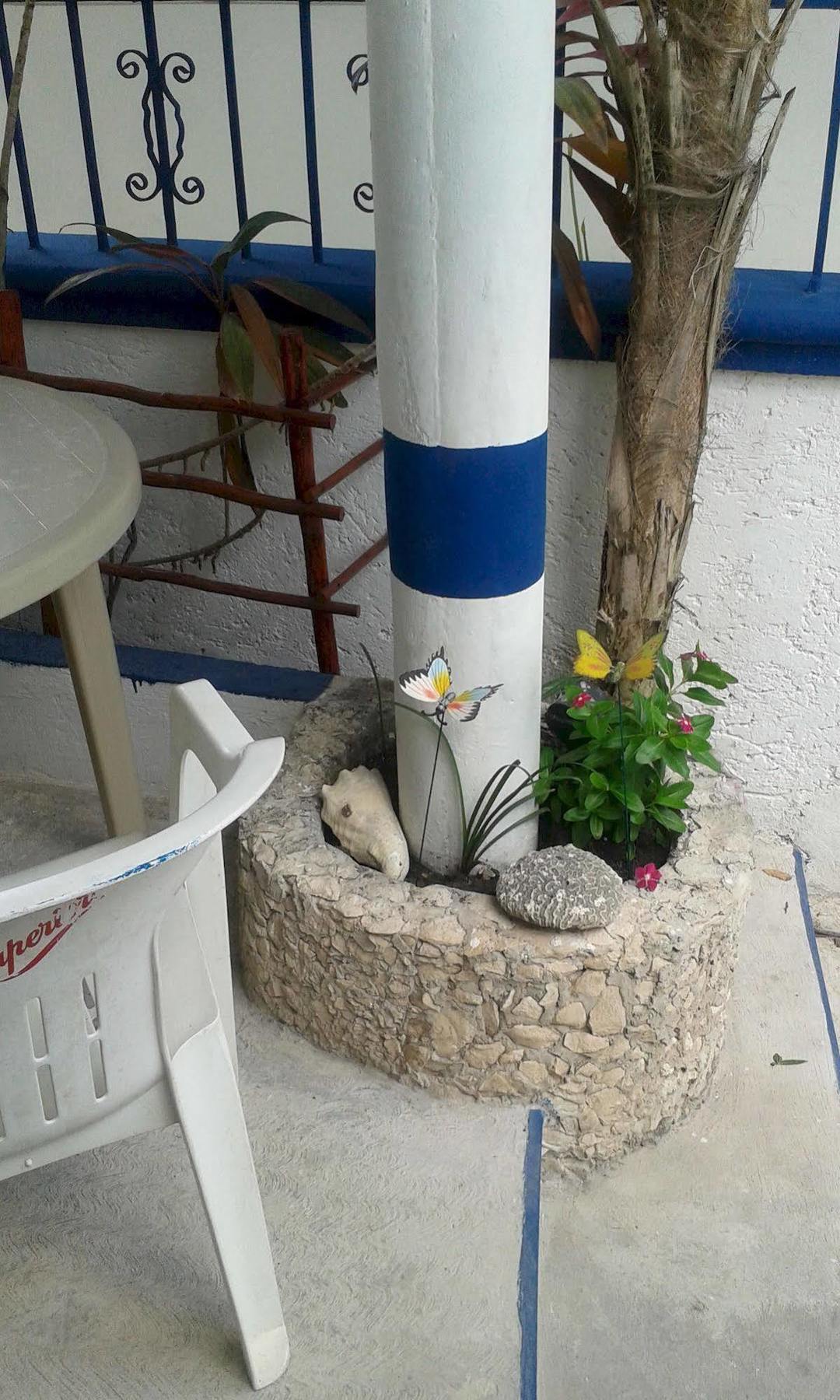 Alicia'S Bed & Breakfast Cozumel Kültér fotó