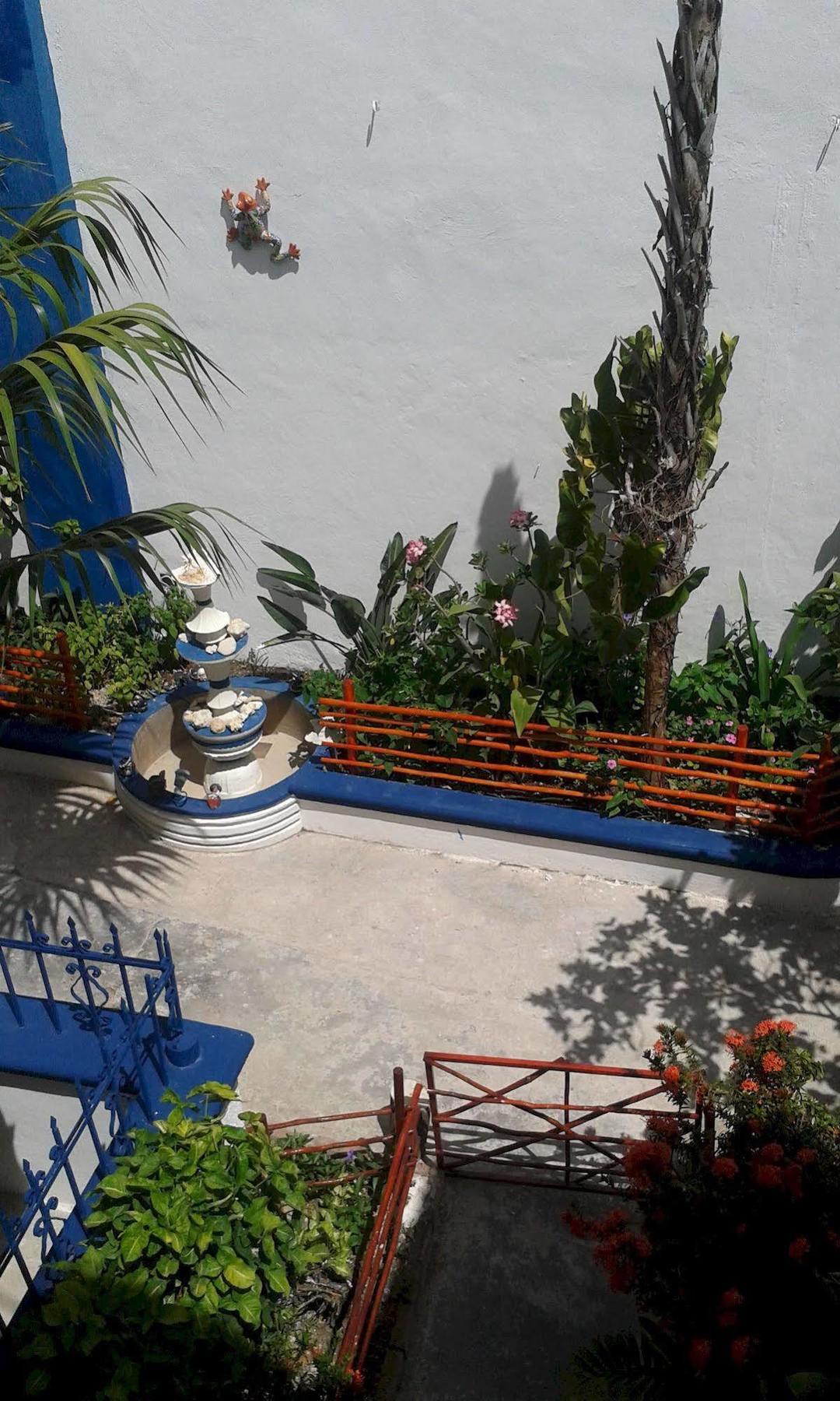 Alicia'S Bed & Breakfast Cozumel Kültér fotó