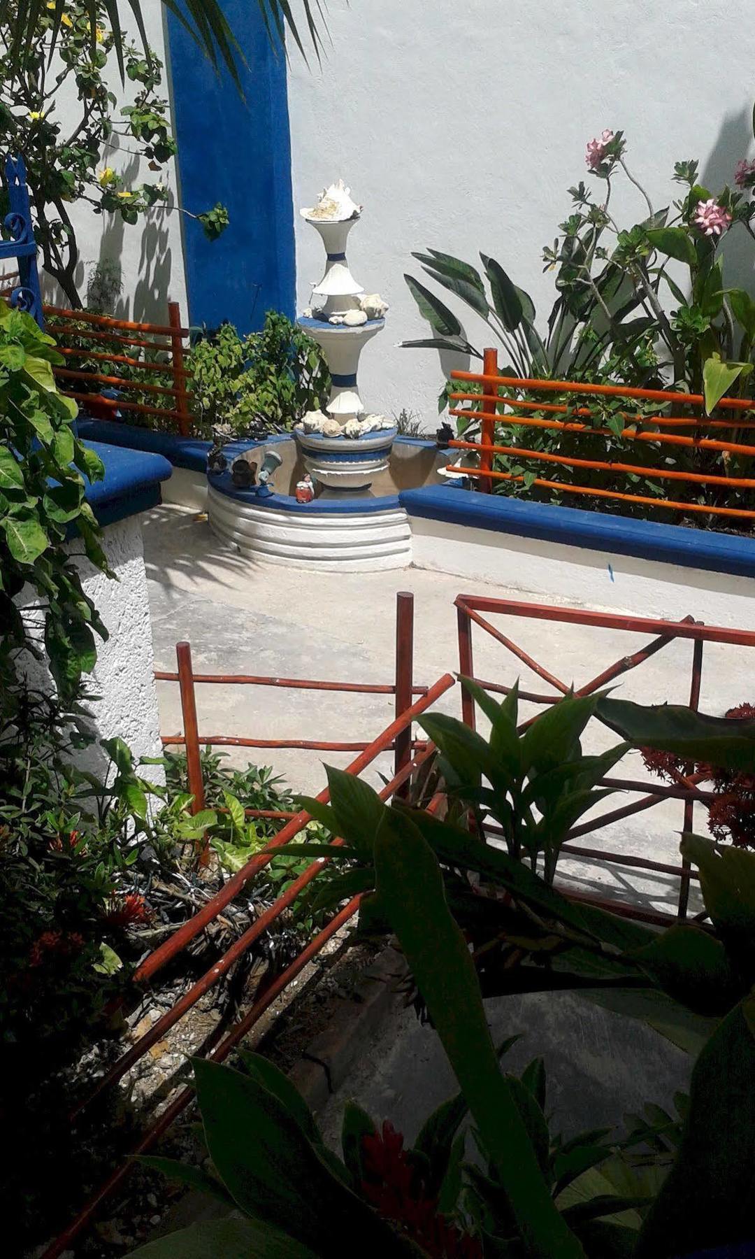 Alicia'S Bed & Breakfast Cozumel Kültér fotó